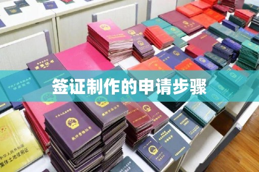 宜城签证制作的申请步骤