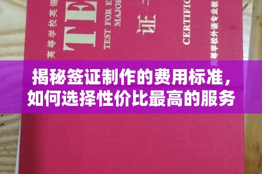 宜城揭秘签证制作的费用标准，如何选择性价比最高的服务？