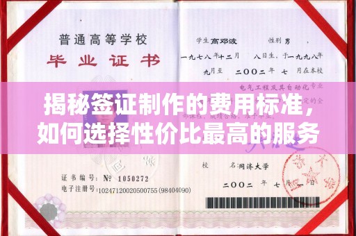 宜城揭秘签证制作的费用标准，如何选择性价比最高的服务？