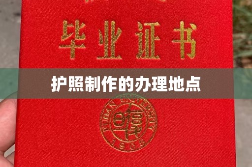 宜城护照制作的办理地点